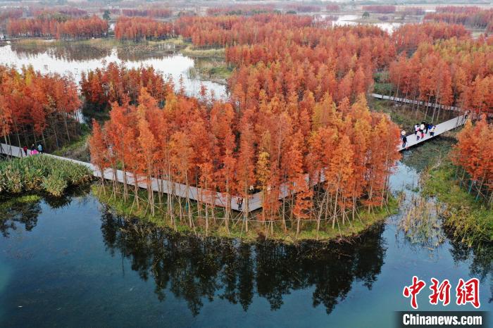 ??? ???? ?????? ???????? ?????? ??????? ?????? ?? ???????