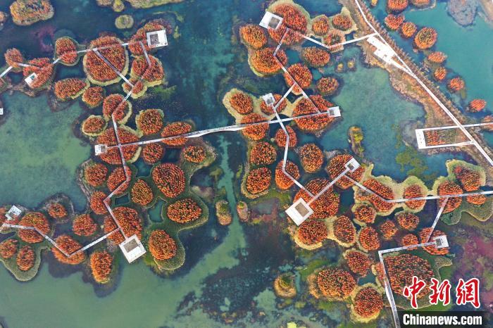 ??? ???? ?????? ???????? ?????? ??????? ?????? ?? ???????