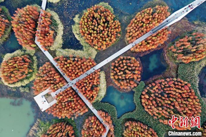 ??? ???? ?????? ???????? ?????? ??????? ?????? ?? ???????