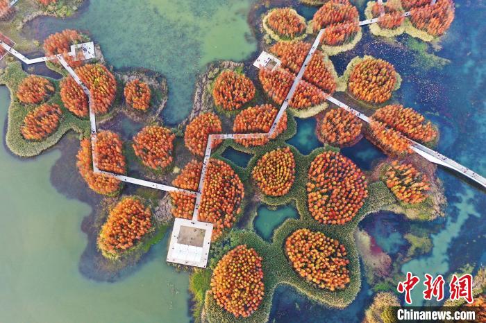 ??? ???? ?????? ???????? ?????? ??????? ?????? ?? ???????