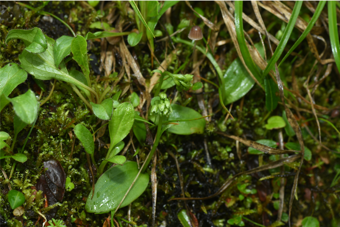 ?????? 31 ???? ????? ?? ?????? ????? ???????? ?????? ?? ?????