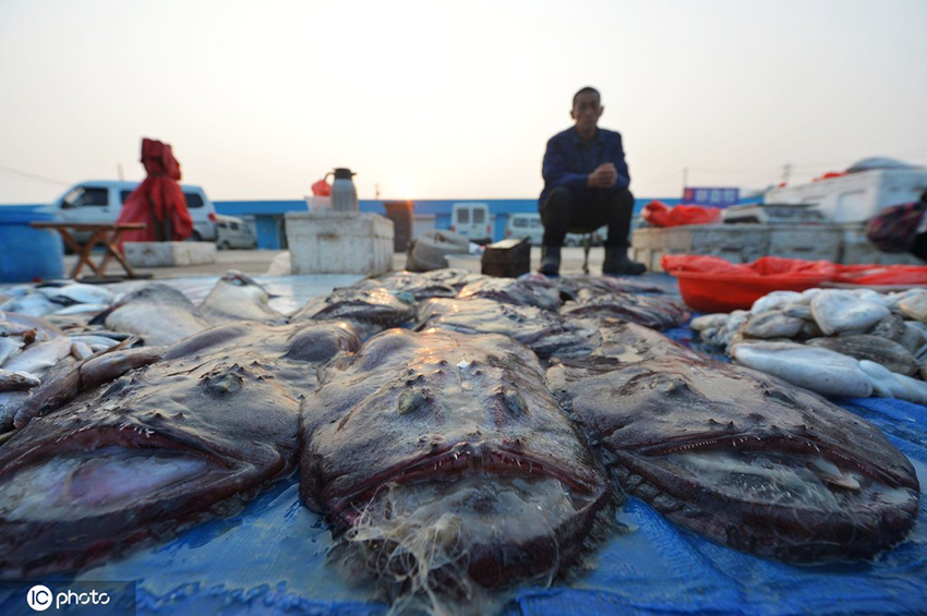 ????? ???????? ???????? ?????? ???? ??? ????