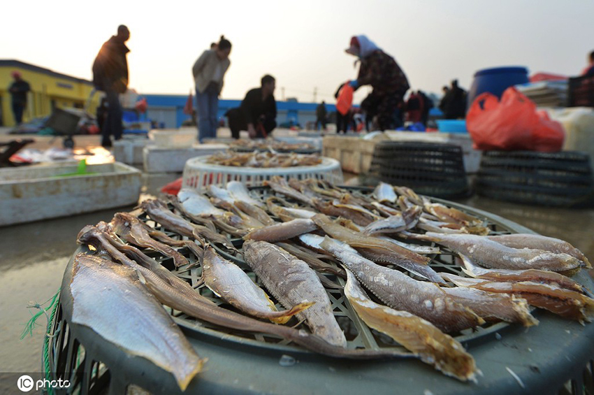 ????? ???????? ???????? ?????? ???? ??? ????