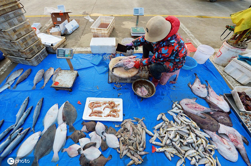 ????? ???????? ???????? ?????? ???? ??? ????