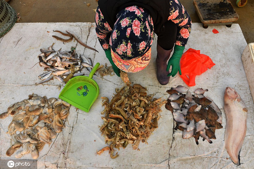 ????? ???????? ???????? ?????? ???? ??? ????