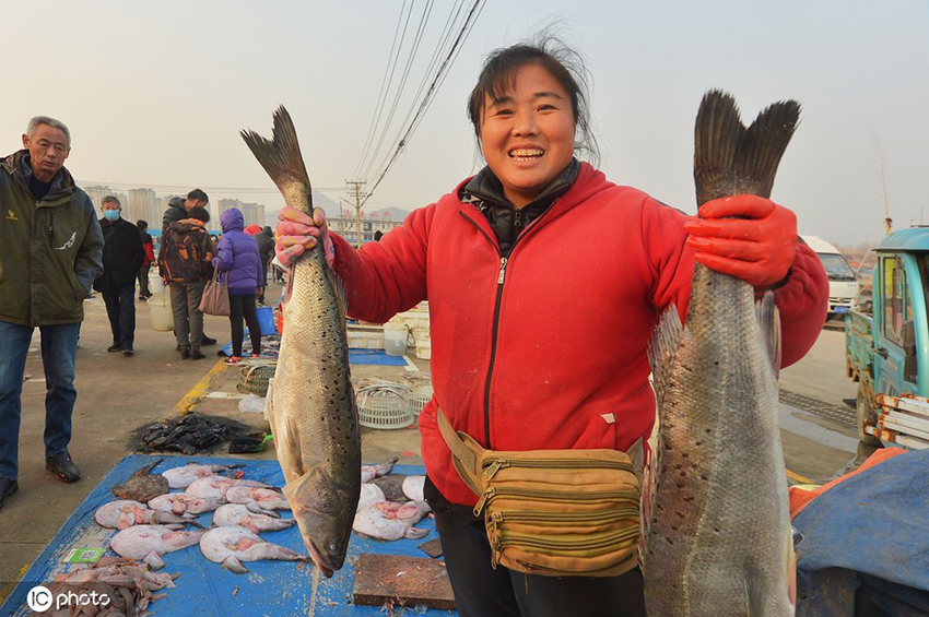 ????? ???????? ???????? ?????? ???? ??? ????