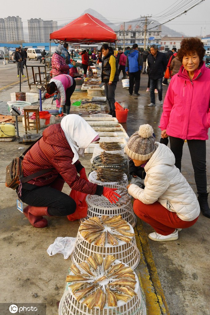 ????? ???????? ???????? ?????? ???? ??? ????