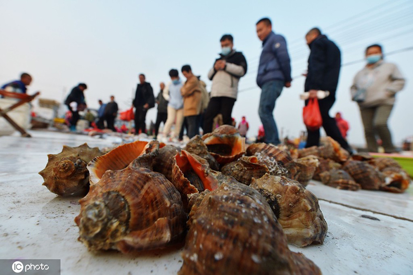 ????? ???????? ???????? ?????? ???? ??? ????