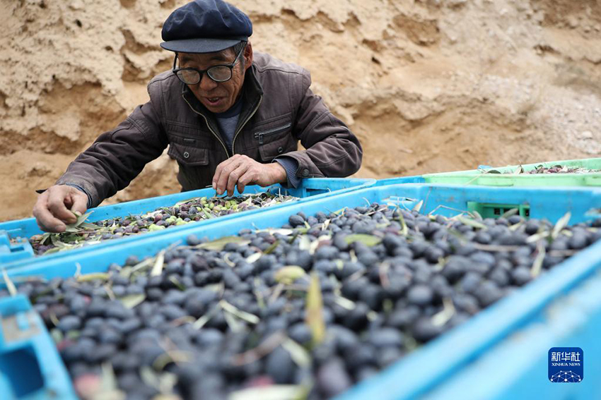 ???? ??????? ???? ?????? ?? ?????