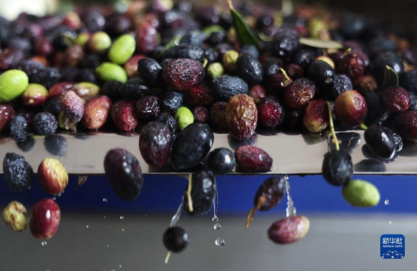 ???? ??????? ???? ?????? ?? ?????