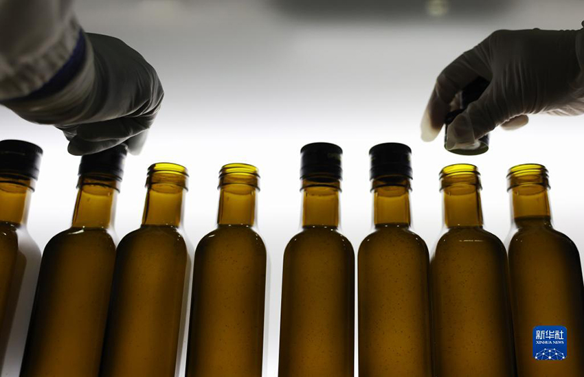 ???? ??????? ???? ?????? ?? ?????