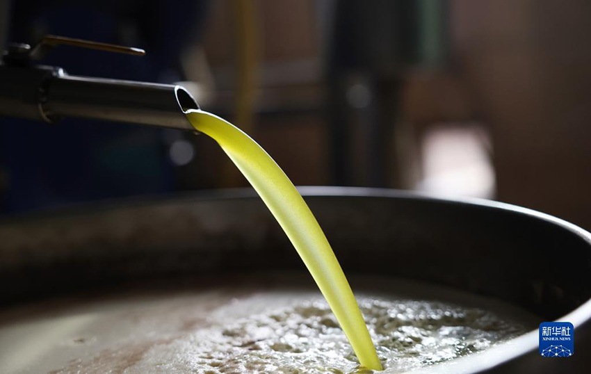 ???? ??????? ???? ?????? ?? ?????