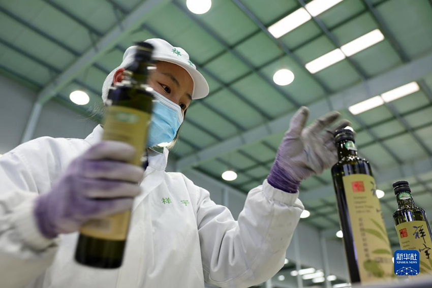 ???? ??????? ???? ?????? ?? ?????