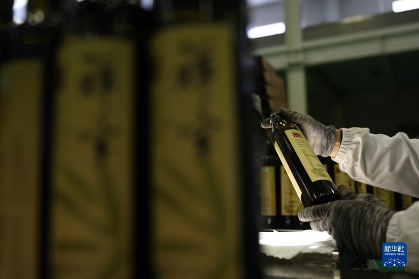 ???? ??????? ???? ?????? ?? ?????