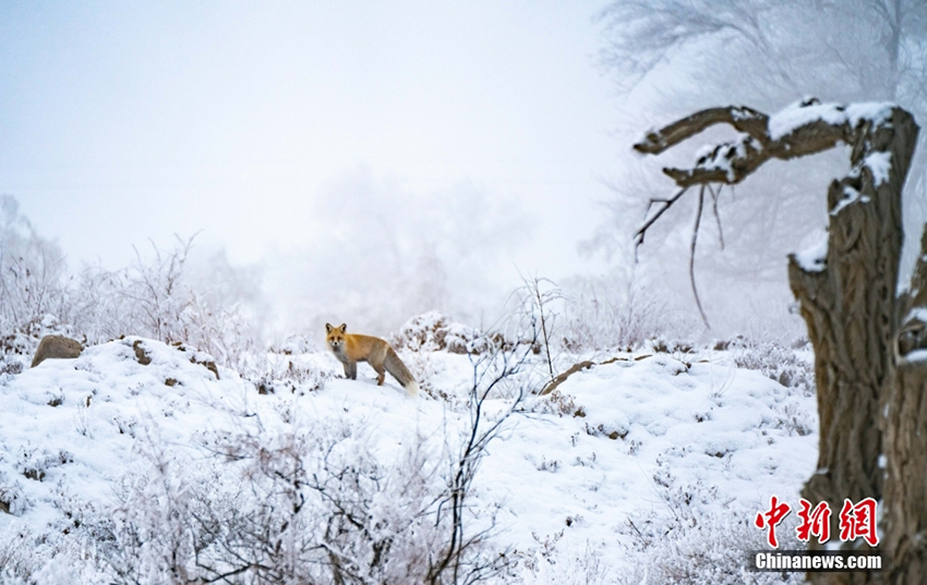 ????????? ?????? ???? ???? ?? ????? ??? ????? ????? ?? ????????