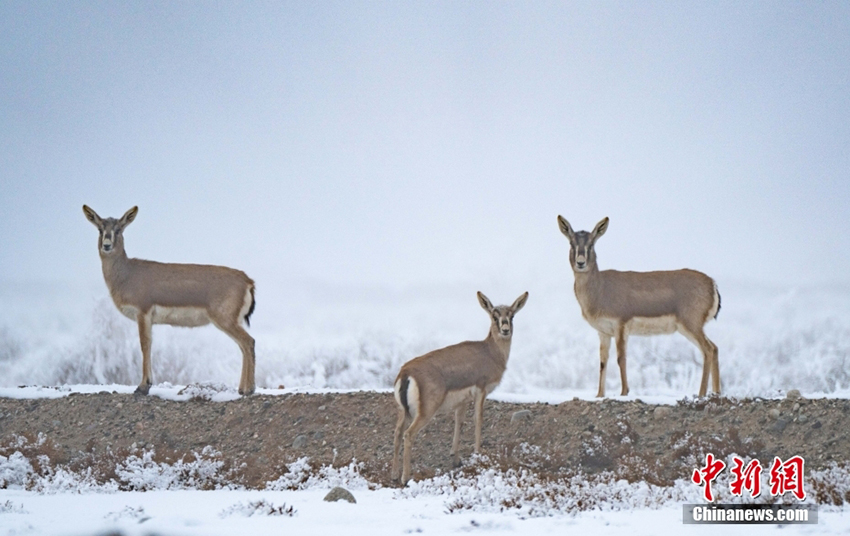 ????????? ?????? ???? ???? ?? ????? ??? ????? ????? ?? ????????