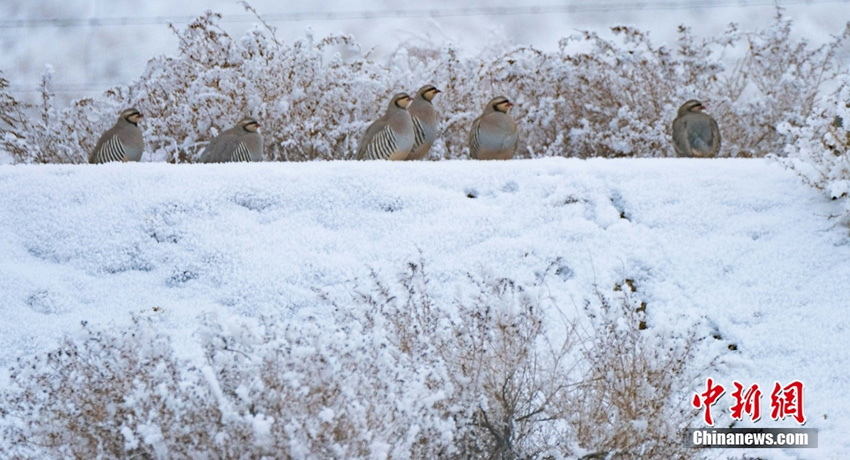 ????????? ?????? ???? ???? ?? ????? ??? ????? ????? ?? ????????