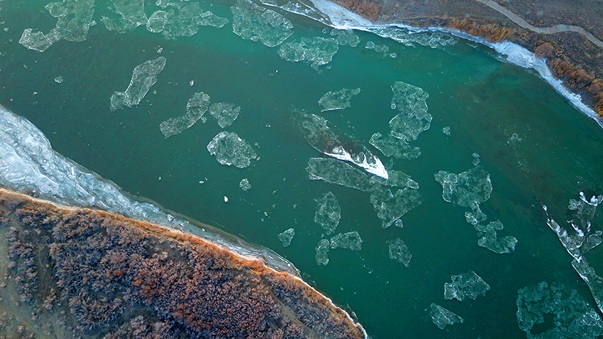 ????? ?????? ?????? ????? .. ????? ???? ??? ????? ?? ???????? 