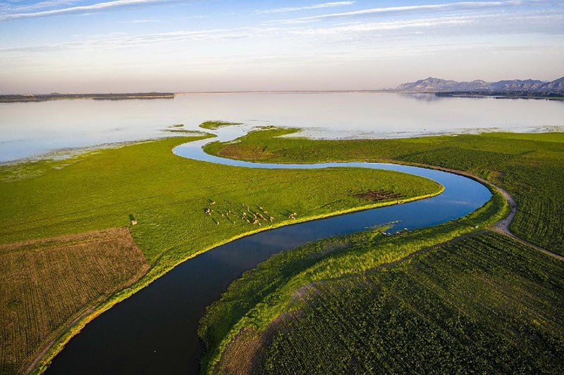 ?? ???? ??? ?????: ??????? 140 ????? ??? ?? ????? ????? ?????? ?? ?????? ??? ?????? ?? ?????