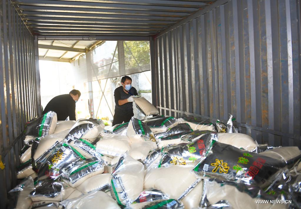 ???? ????? ??????? ??????? ?????? ?? ??????? ???? ????? ??????? ?????-19