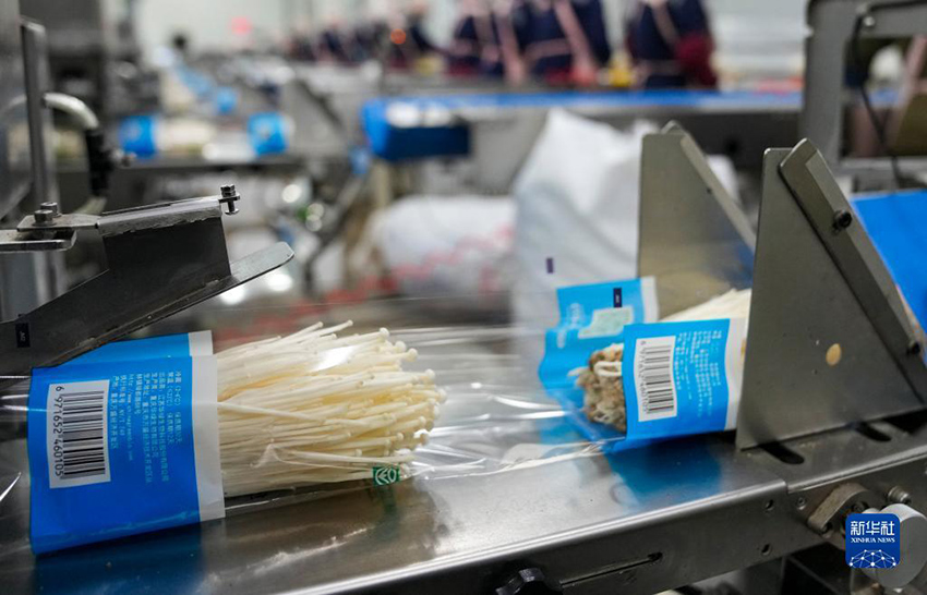 ??????? ?????? ??????? ?? ?????????? .. ????? ?????? ??? ???? ????? ???? ?????????