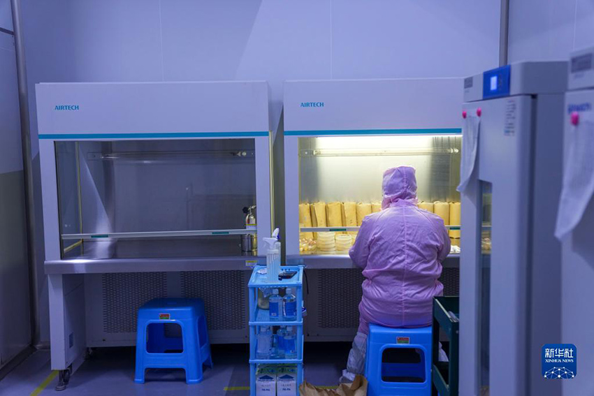 ??????? ?????? ??????? ?? ?????????? .. ????? ?????? ??? ???? ????? ???? ?????????