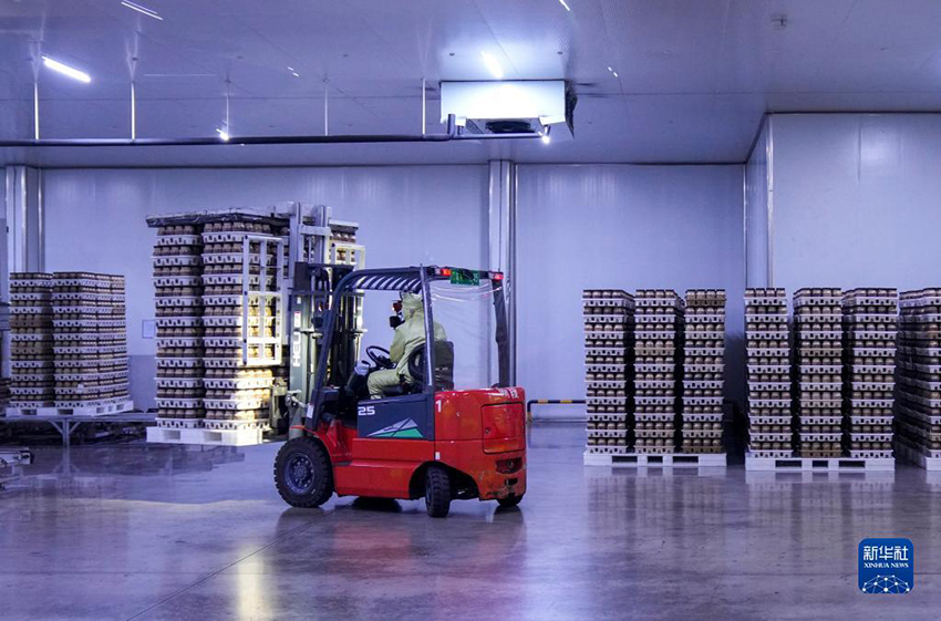 ??????? ?????? ??????? ?? ?????????? .. ????? ?????? ??? ???? ????? ???? ?????????