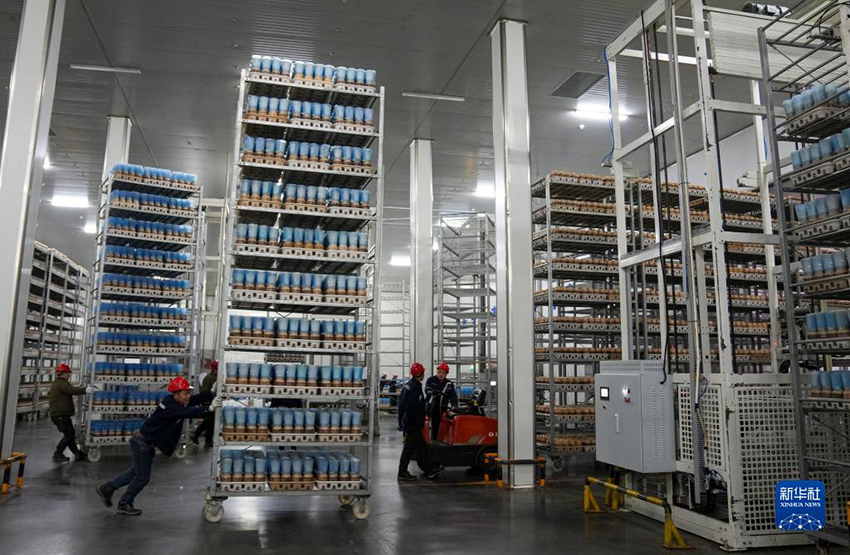 ??????? ?????? ??????? ?? ?????????? .. ????? ?????? ??? ???? ????? ???? ?????????