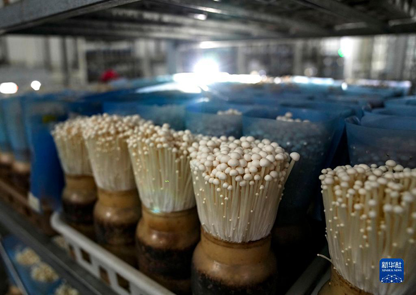 ??????? ?????? ??????? ?? ?????????? .. ????? ?????? ??? ???? ????? ???? ?????????