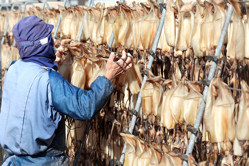 ????? ????????? ??????? ?? ????? ?????? ????????