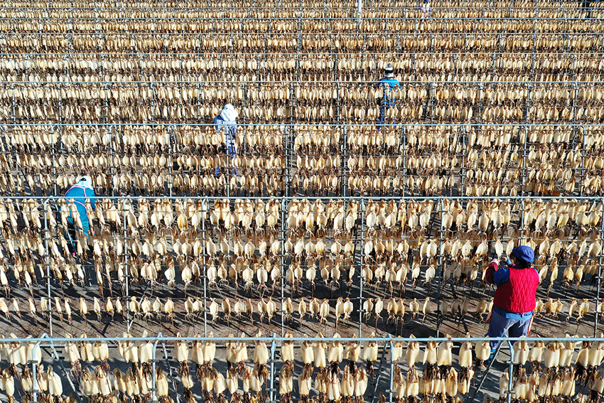 ????? ????????? ??????? ?? ????? ?????? ????????