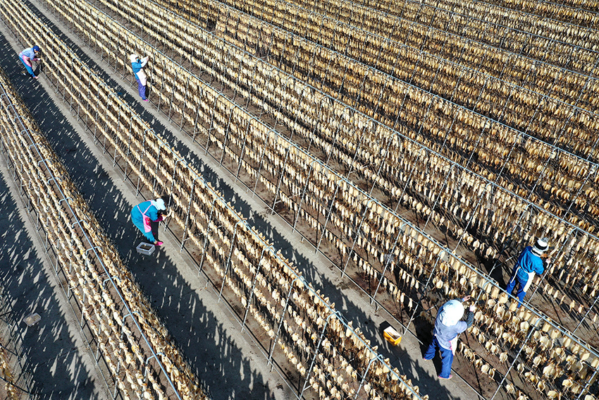 ????? ????????? ??????? ?? ????? ?????? ????????