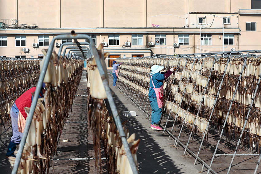 ????? ????????? ??????? ?? ????? ?????? ????????