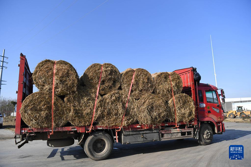 ????? ?????? ??????? ?? ???? ?? ?????? ?????