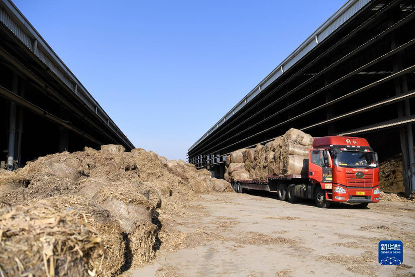 ????? ?????? ??????? ?? ???? ?? ?????? ?????