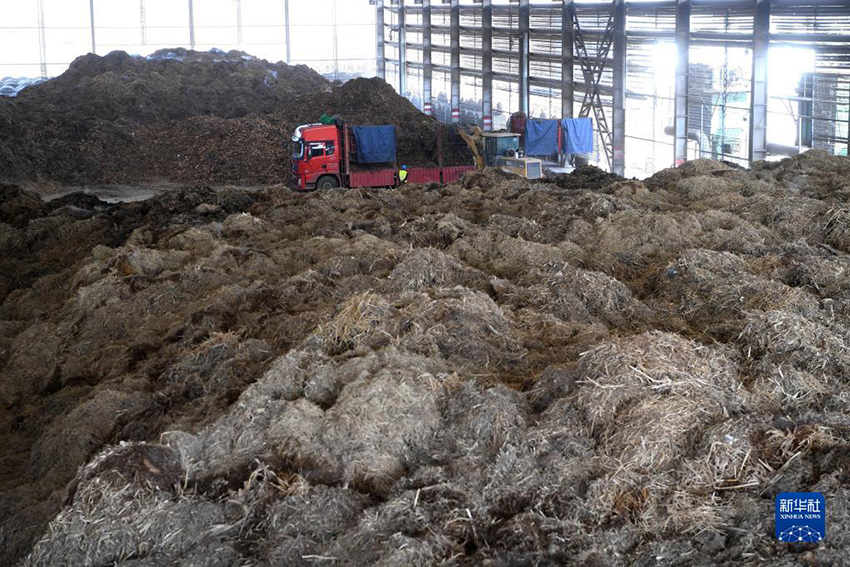 ????? ?????? ??????? ?? ???? ?? ?????? ?????