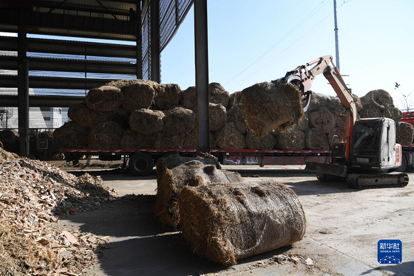 ????? ?????? ??????? ?? ???? ?? ?????? ?????