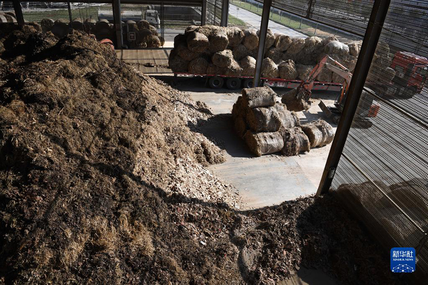 ????? ?????? ??????? ?? ???? ?? ?????? ?????