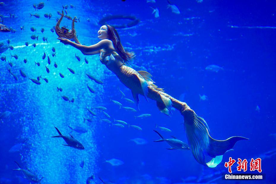 ???? ???.. ???? ????? ????? ?????? ????? ?? ?????