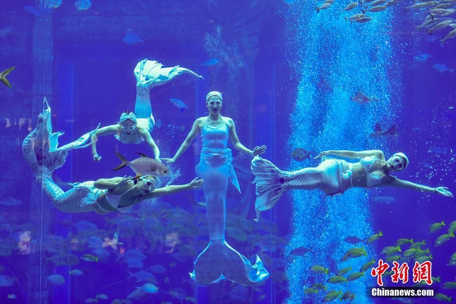 ???? ???.. ???? ????? ????? ?????? ????? ?? ?????