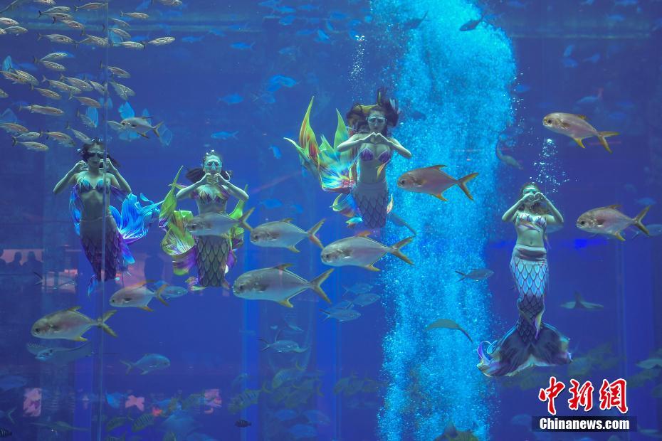 ???? ???.. ???? ????? ????? ?????? ????? ?? ?????