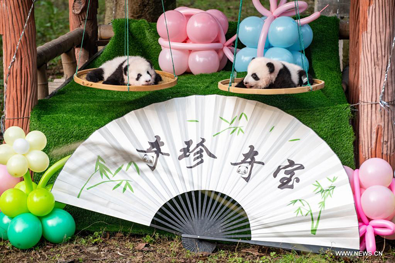 ????? ????? ?????? ???????? ?????? ?? ????? ????? ????? ???? ?????