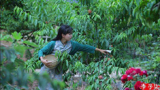 ?????????? ???????: ????? ????? ????? ?????? ???????? ??????