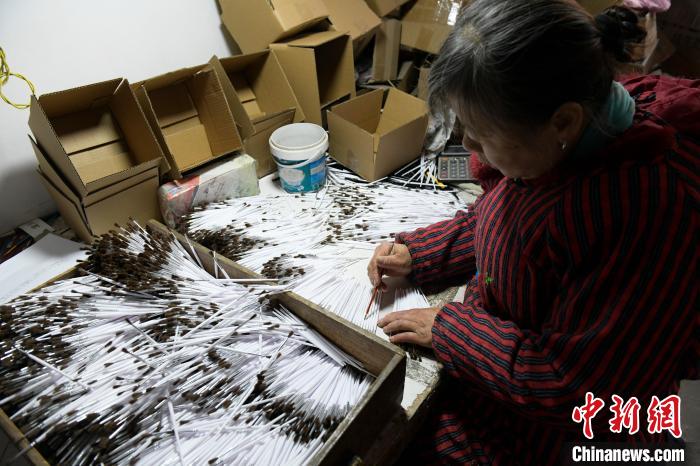 ????? ????? ????? ????? ???? ???? ?? ????? ?????? ???? ?????