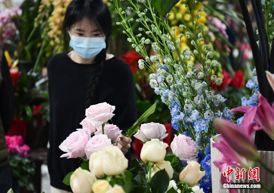 ???? ???? ???? ????? ???????? ????? ?????