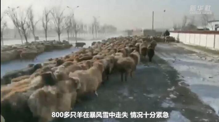 ???? ???????? ???? 4 ???? ????? ?? 800 ??? ??? ?? ????? ????? 