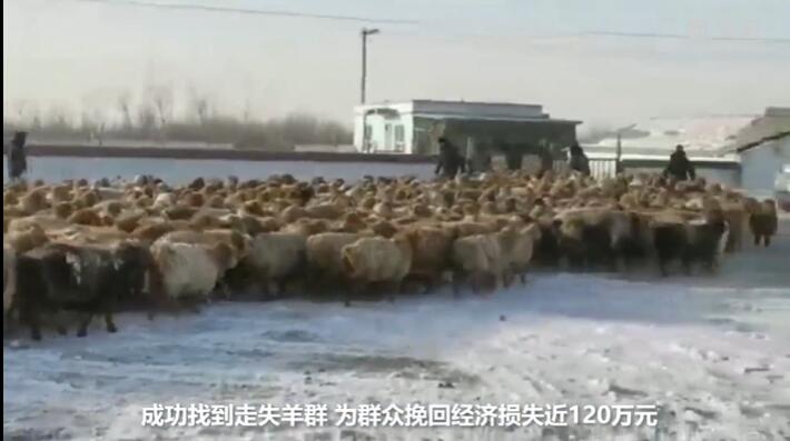 ???? ???????? ???? 4 ???? ????? ?? 800 ??? ??? ?? ????? ????? 