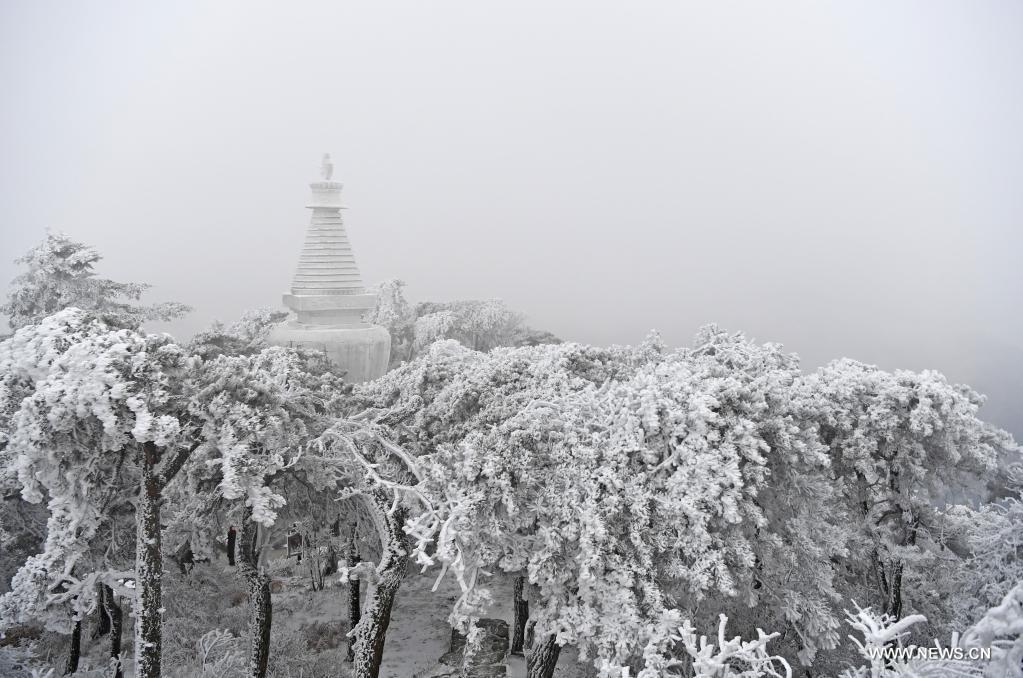 ????? ?????? ?? ????? ?????? ????? ??????