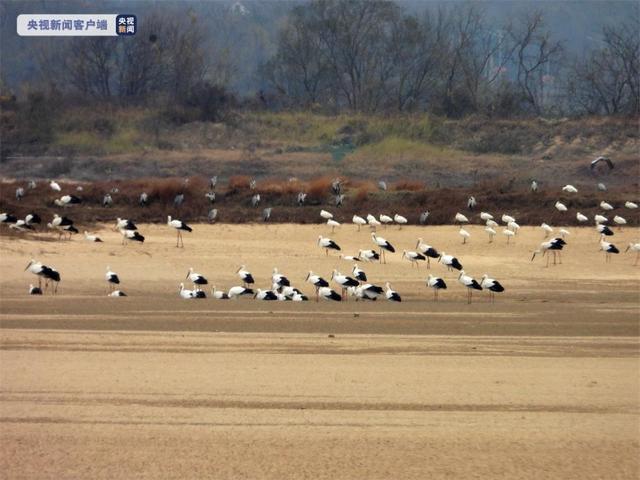 ??? ???? ?? 766 ???? ?? ?????? ??????? ??? ???? ????? ?????? ?????? ??????