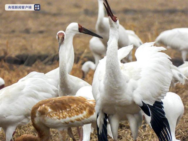 ??? ???? ?? 766 ???? ?? ?????? ??????? ??? ???? ????? ?????? ?????? ??????